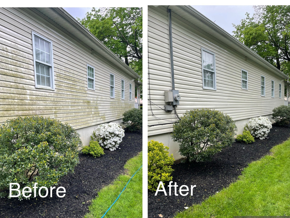Before and after house washing